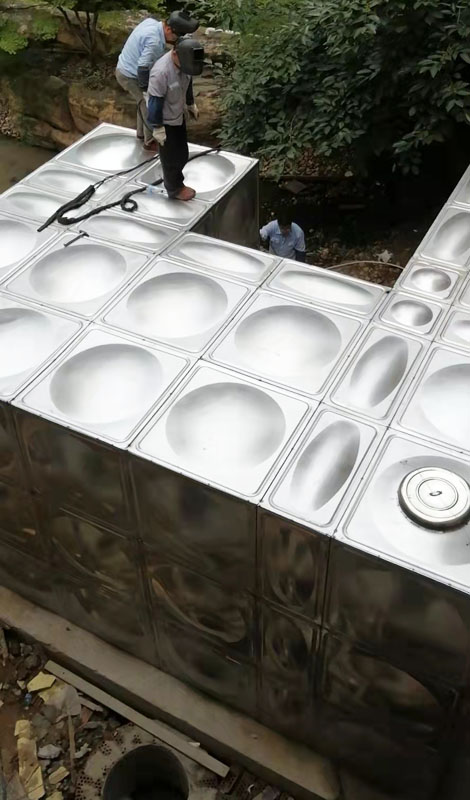 ����鿴��